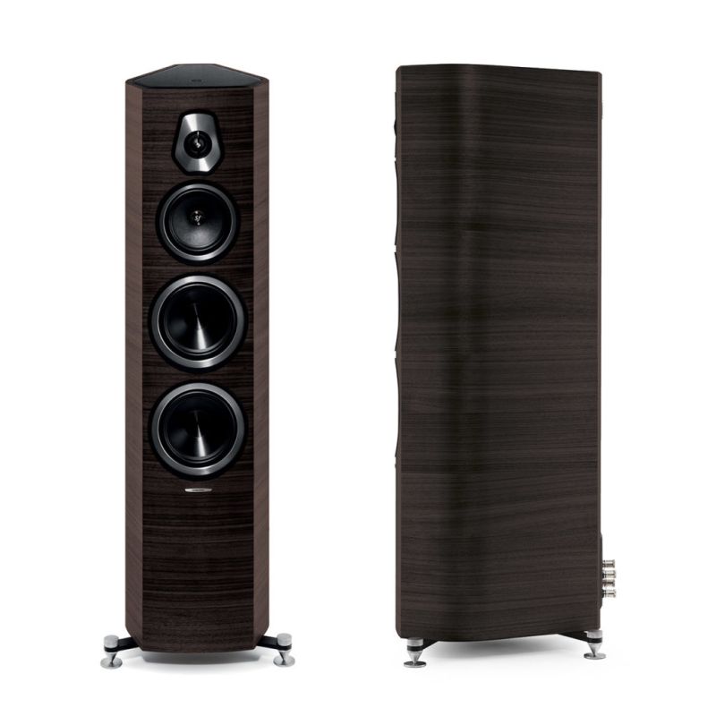 Sonus Faber Sonetto V