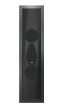 Sonus Faber Arena A20